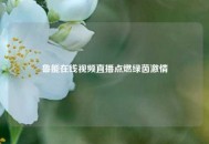 鲁能在线视频直播点燃绿茵激情