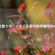红黑十字：AC米兰队徽中的荣耀与传承