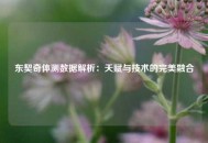东契奇体测数据解析：天赋与技术的完美融合