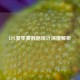 LPL夏季赛数据统计深度解析