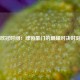 欧冠时间：绿茵豪门的巅峰对决时刻