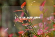 个人所得税扣缴机制解析
