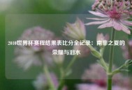 2010世界杯赛程结果表比分全记录：南非之夏的荣耀与泪水