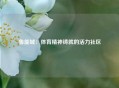 鲁能城：体育精神铸就的活力社区