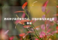 西瓜种子高效催芽方法，详细步骤与关键注意事项