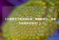 《口罩禁令下的冰球兄弟：美国截流N95，加拿大冰场何去何从？》