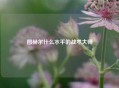 图赫尔什么水平的战术大师