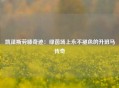 凯泽斯劳滕奇迹：绿茵场上永不褪色的升班马传奇