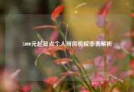 5000元起征点个人所得税税率表解析