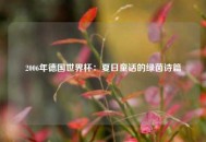 2006年德国世界杯：夏日童话的绿茵诗篇