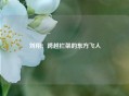 刘翔：跨越栏架的东方飞人