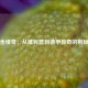 伊比舍维奇：从难民营到德甲传奇的荆棘之路