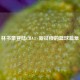 林书豪登陆CBA：新征程的篮球篇章