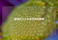 篮球过人十大必学技巧精解