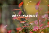 巴西与科特迪瓦的绿茵交锋