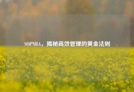 SOPNBA，揭秘高效管理的黄金法则