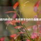 德玛西亚杯：电竞寒冬中的热血鏖战