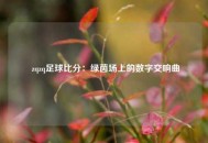  zqzq足球比分：绿茵场上的数字交响曲