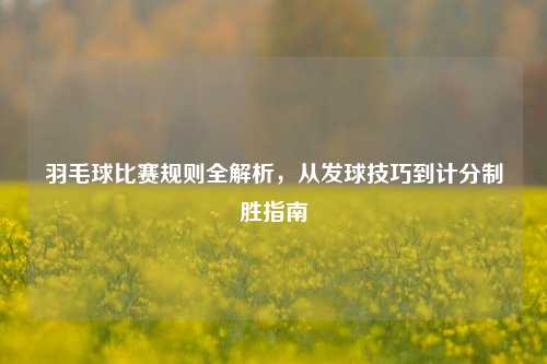 羽毛球比赛规则全解析，从发球技巧到计分制胜指南