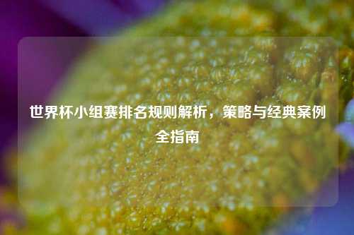 世界杯小组赛排名规则解析，策略与经典案例全指南