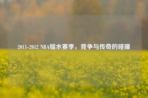 2011-2012 NBA缩水赛季，竞争与传奇的碰撞