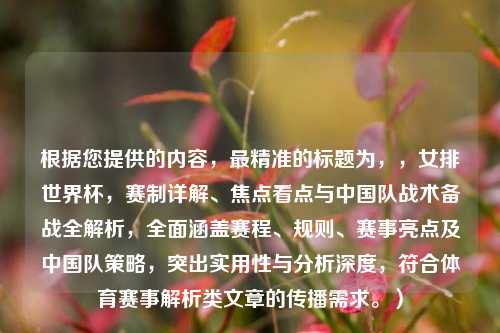 根据您提供的内容，最精准的标题为，，女排世界杯，赛制详解、焦点看点与中国队战术备战全解析，全面涵盖赛程、规则、赛事亮点及中国队策略，突出实用性与分析深度，符合体育赛事解析类文章的传播需求。）