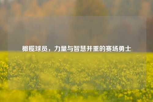 橄榄球员，力量与智慧并重的赛场勇士
