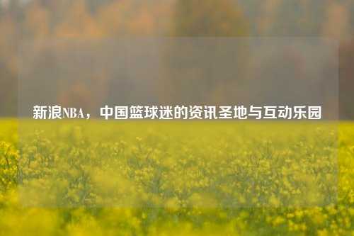 新浪NBA,中国篮球迷的资讯圣地与互动乐园