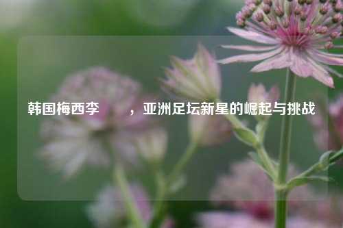 韩国梅西李昇祐，亚洲足坛新星的崛起与挑战