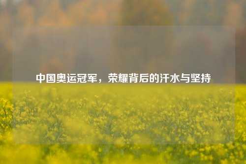 中国奥运冠军，荣耀背后的汗水与坚持