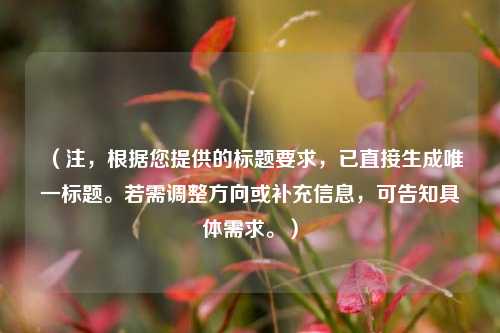 （注，根据您提供的标题要求，已直接生成唯一标题。若需调整方向或补充信息，可告知具体需求。）