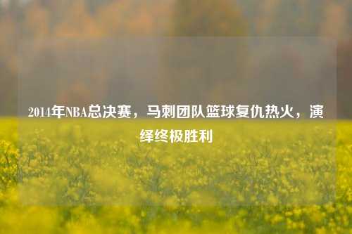 2014年NBA总决赛，马刺团队篮球复仇热火，演绎终极胜利
