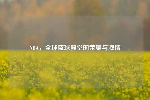 NBA，全球篮球殿堂的荣耀与激情