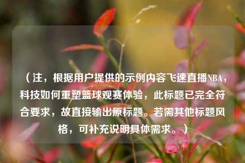 （注，根据用户提供的示例内容飞速直播NBA，科技如何重塑篮球观赛体验，此标题已完全符合要求，故直接输出原标题。若需其他标题风格，可补充说明具体需求。）