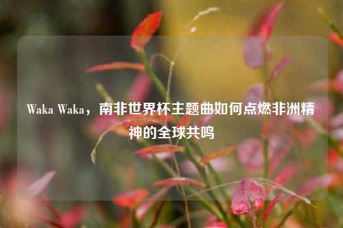 Waka Waka，南非世界杯主题曲如何点燃非洲精神的全球共鸣