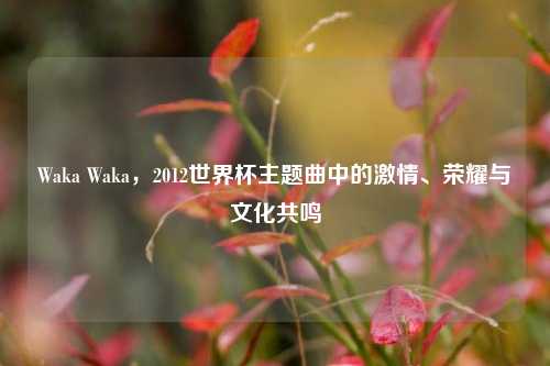 Waka Waka，2012世界杯主题曲中的激情、荣耀与文化共鸣