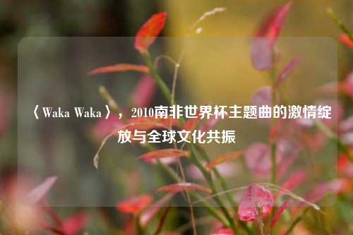 〈Waka Waka〉，2010南非世界杯主题曲的激情绽放与全球文化共振