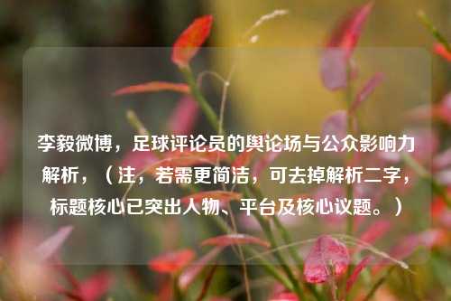 李毅微博，足球评论员的舆论场与公众影响力解析，（注，若需更简洁，可去掉解析二字，标题核心已突出人物、平台及核心议题。）