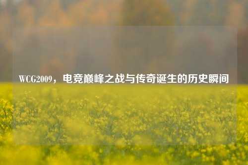 WCG2009，电竞巅峰之战与传奇诞生的历史瞬间