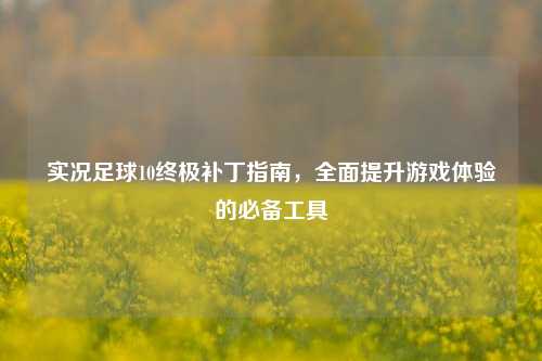 实况足球10终极补丁指南，全面提升游戏体验的必备工具
