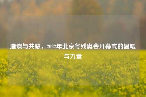 璀璨与共融，2022年北京冬残奥会开幕式的温暖与力量