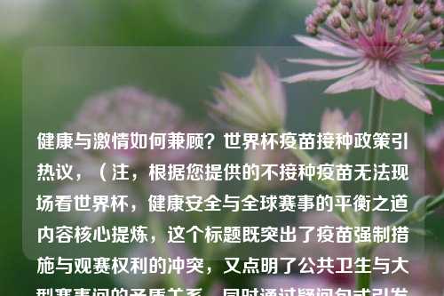 健康与激情如何兼顾？世界杯疫苗接种政策引热议，（注，根据您提供的不接种疫苗无法现场看世界杯，健康安全与全球赛事的平衡之道内容核心提炼，这个标题既突出了疫苗强制措施与观赛权利的冲突，又点明了公共卫生与大型赛事间的矛盾关系，同时通过疑问句式引发读者思考，符合新闻传播的悬念性和讨论价值。）