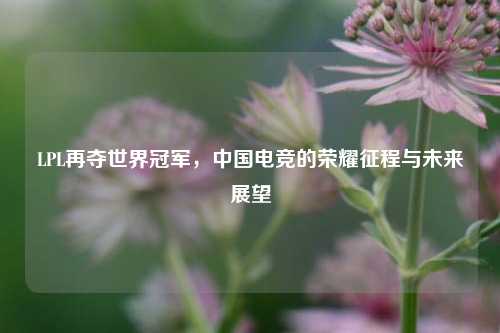 LPL再夺世界冠军，中国电竞的荣耀征程与未来展望