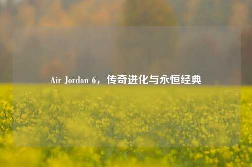 Air Jordan 6，传奇进化与永恒经典
