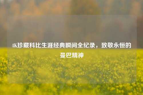 4K珍藏科比生涯经典瞬间全纪录，致敬永恒的曼巴精神
