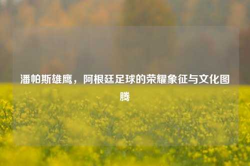 潘帕斯雄鹰，阿根廷足球的荣耀象征与文化图腾