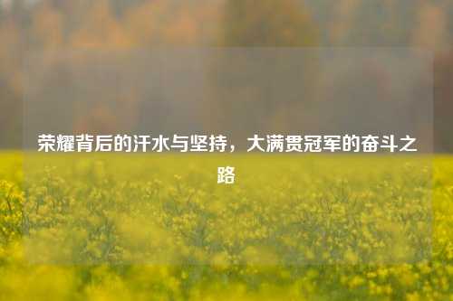 荣耀背后的汗水与坚持，大满贯冠军的奋斗之路