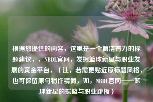 根据您提供的内容，这里是一个简洁有力的标题建议，，NBDL官网，发掘篮球新星与职业发展的黄金平台，（注，若需更贴近原标题风格，也可保留原句稍作精简，如，NBDL官网——篮球新星的摇篮与职业跳板）