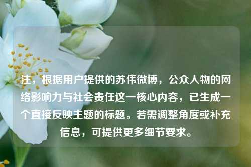 注，根据用户提供的苏伟微博，公众人物的网络影响力与社会责任这一核心内容，已生成一个直接反映主题的标题。若需调整角度或补充信息，可提供更多细节要求。