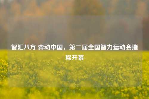 智汇八方 弈动中国，第二届全国智力运动会璀璨开幕